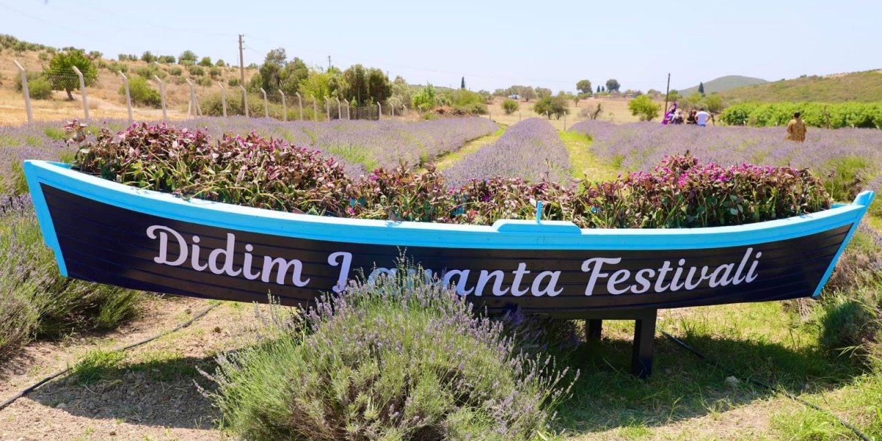 DİDİM LAVANTA FESTİVALİ İÇİN GÜN SAYIYOR