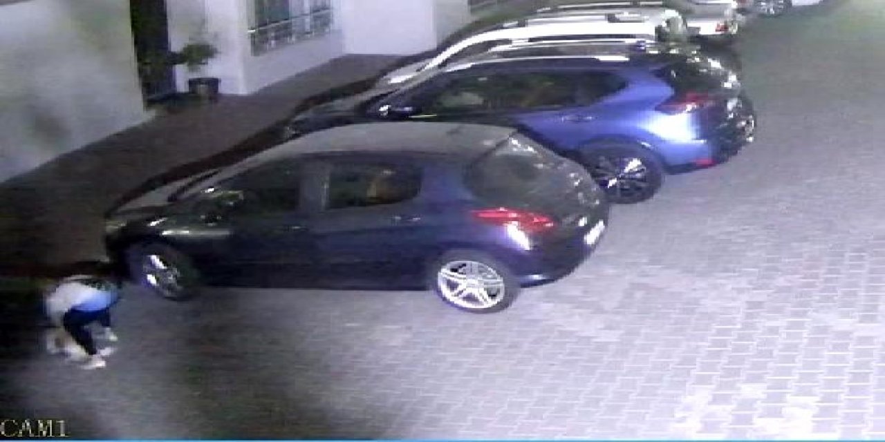 Köpeğini otomobille ezen komşusundan alacağı tazminatla hayvan mezarlığı yaptıracak