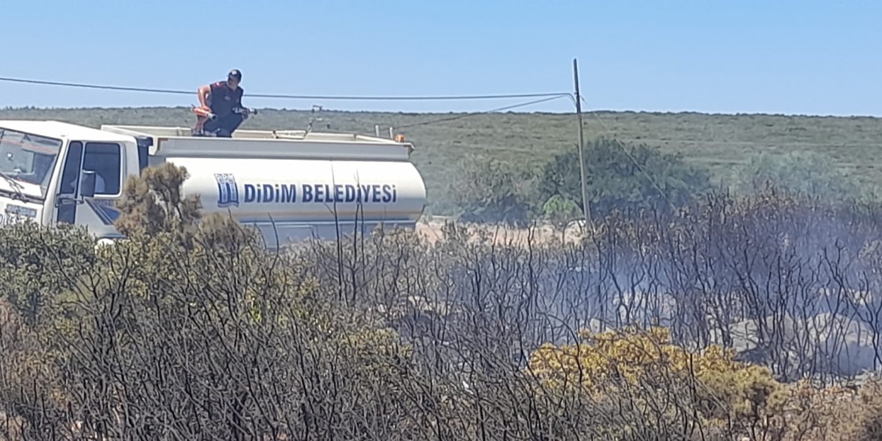 DİDİM'DE ORMAN YANGINI FACİASININ ÖNÜNE BELEDİYE EKİPLERİ GEÇTİ