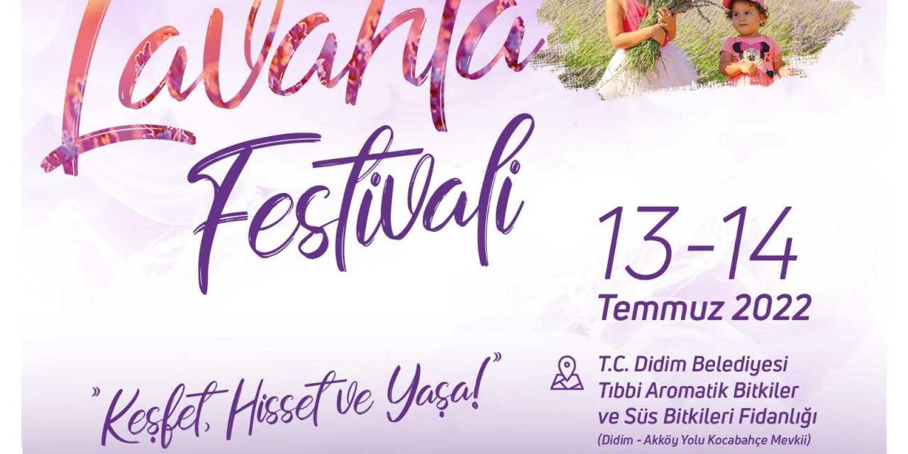 DİDİM LAVANTA FESTİVALİ YARIN BAŞLIYOR