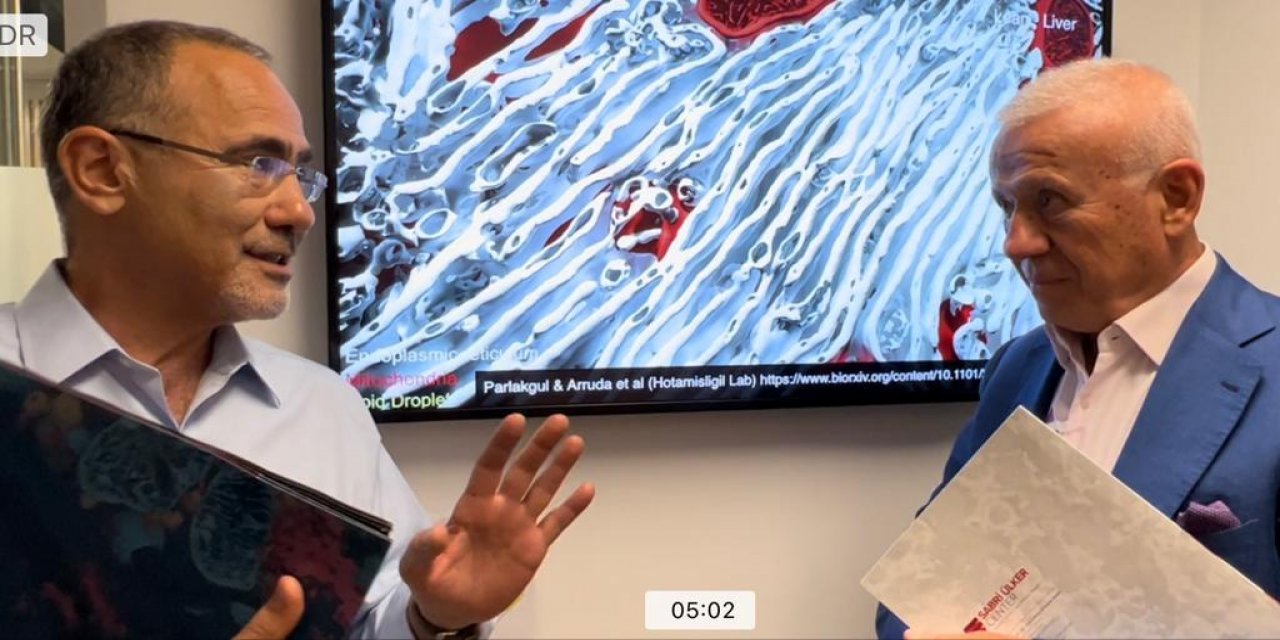 Ertuğrul Özkök yazdı: "4 bin kırmızı daire içine girip dolaşmak ister misiniz"