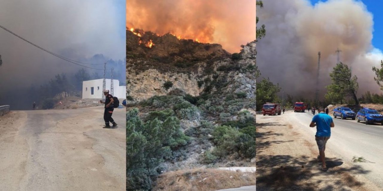 Datça’da orman yangını! Karadan ve havadan müdahale ediliyor