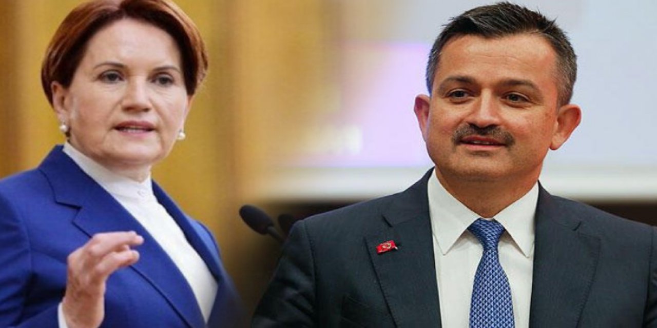 Meral Akşener "Tiktok'tan istifa etsin" demişti... Bakan Pakdemirli İYİ Parti'nin radarında!