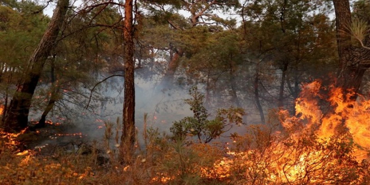 'Datça'da yangına neden olan trafo geçen yıl da yangın çıkardı' iddiası