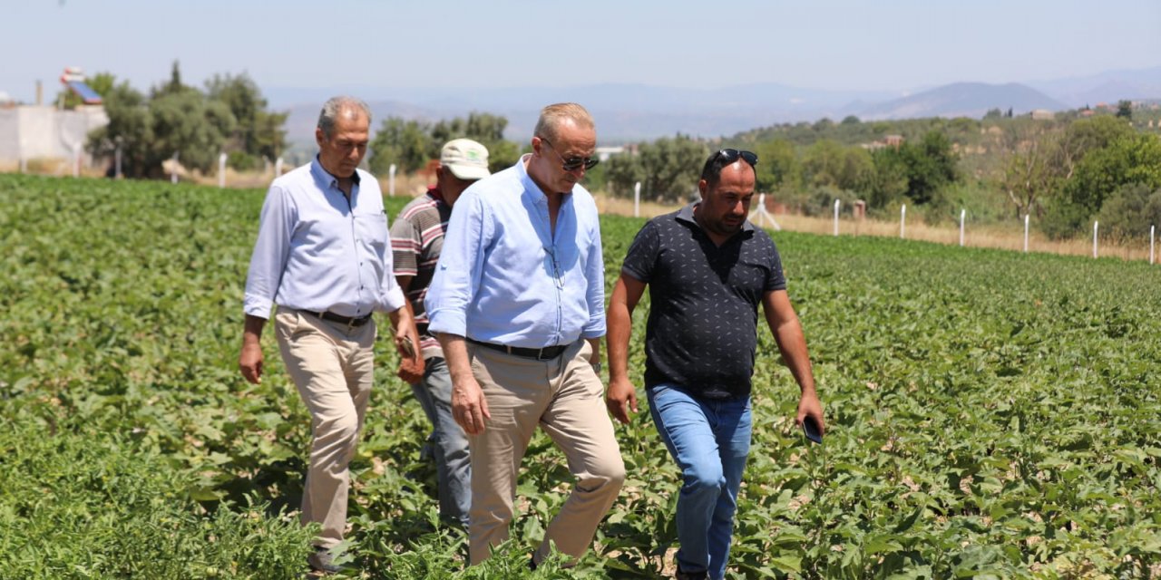 DİDİM BELEDİYESİ'NİN İLK AYÇİÇEKLERİNİ BAŞKAN ATABAY EKTİ