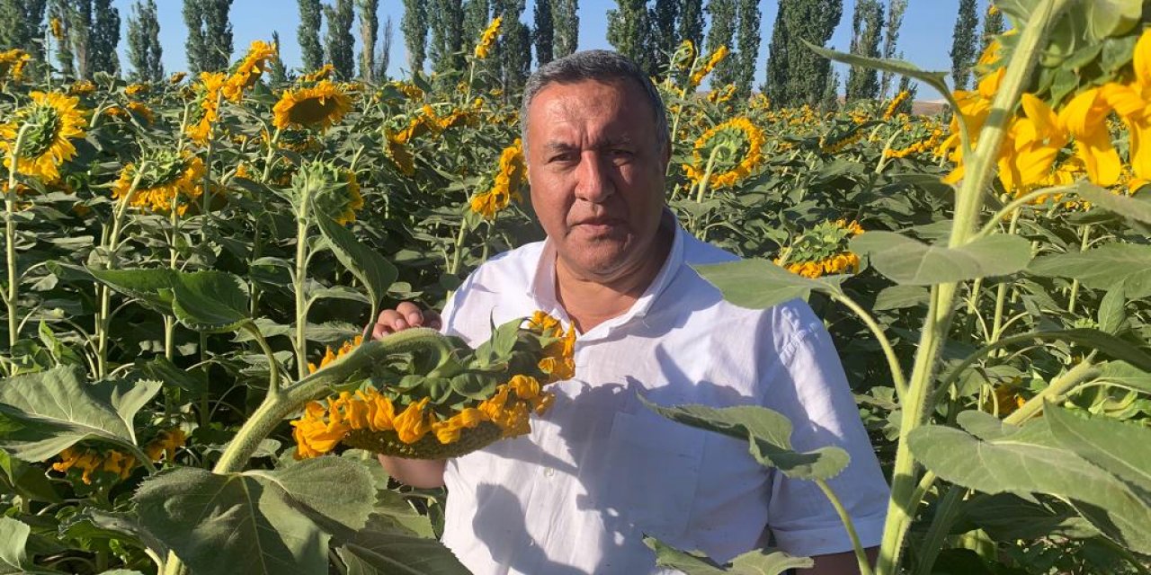 CHP Niğde Milletvekili Ömer Fethi Gürer: “Ayçiçek taban fiyatı açıklanmalıdır"
