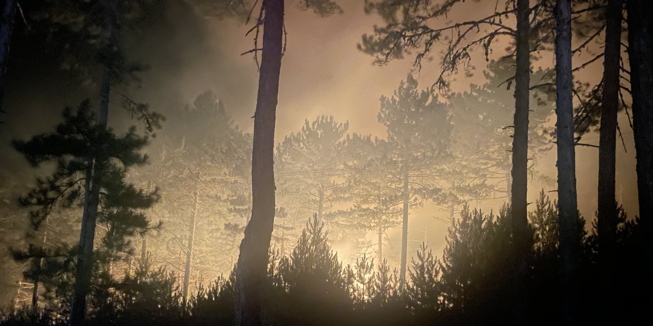 Kütahya'daki orman yangını 15 saat sonra kontrol altına alındı