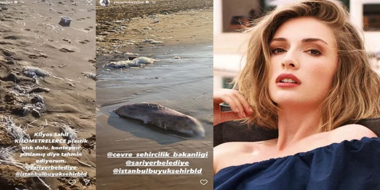 Yasemin Kay Allen'den plastik atık tepkisi: Bir gram vatan ve toprak sevgisi olanın şu görüntülerden sonra içi paramparça olur