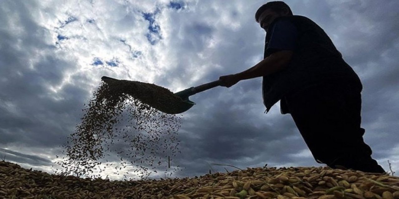 Ülke icradan satılık: Milyarlarca metrekare tarım arazisi ipotek altında