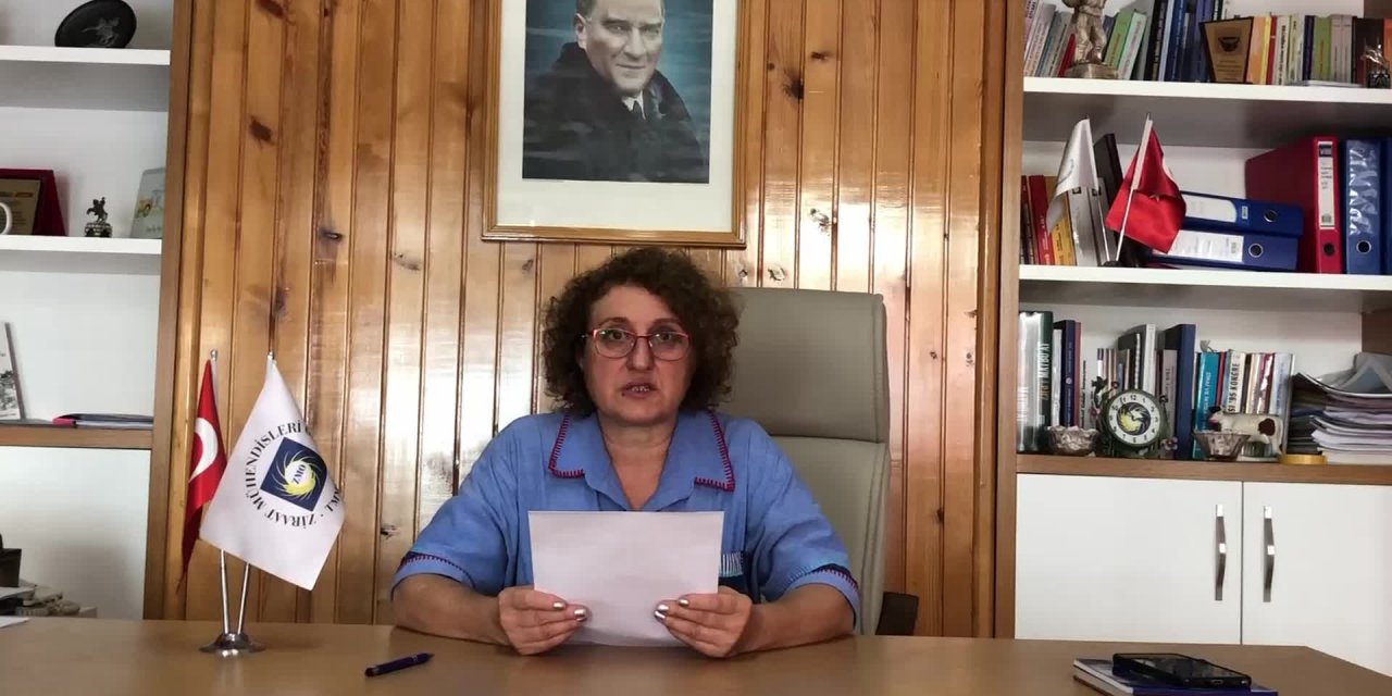 ZMO SAMSUN ŞUBESİ: “BAFRA MEYVE-SEBZE HALİ ARAZİSİ İÇİN OVA DIŞINDA ALTERNATİF ALAN ARAŞTIRILMALI”