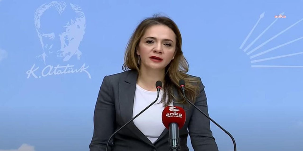 GAMZE AKKUŞİLGEZDİ, “ASKERİ HASTANELERİN YENİDEN AÇILMASI” GÜNDEMİNİ DEĞERLENDİRDİ: “ASKERİ HASTANELER, HASTANE VASFINI YİTİRDİ. İSTESELER DE KAPATILAN 33 ASKERİ HASTANEYİ AÇAMAZLAR”