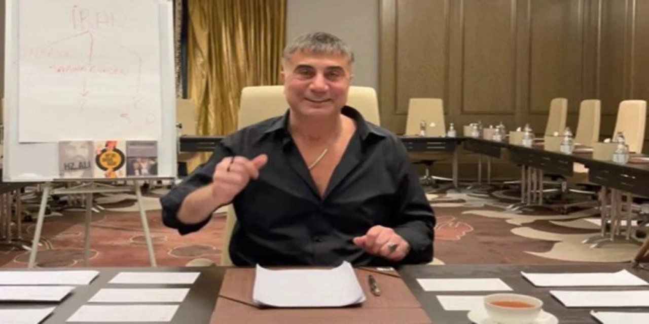 Sedat Peker’in Beykoz’daki mülkü ‘Milli Parklar ve Bahçeler’e devredildi