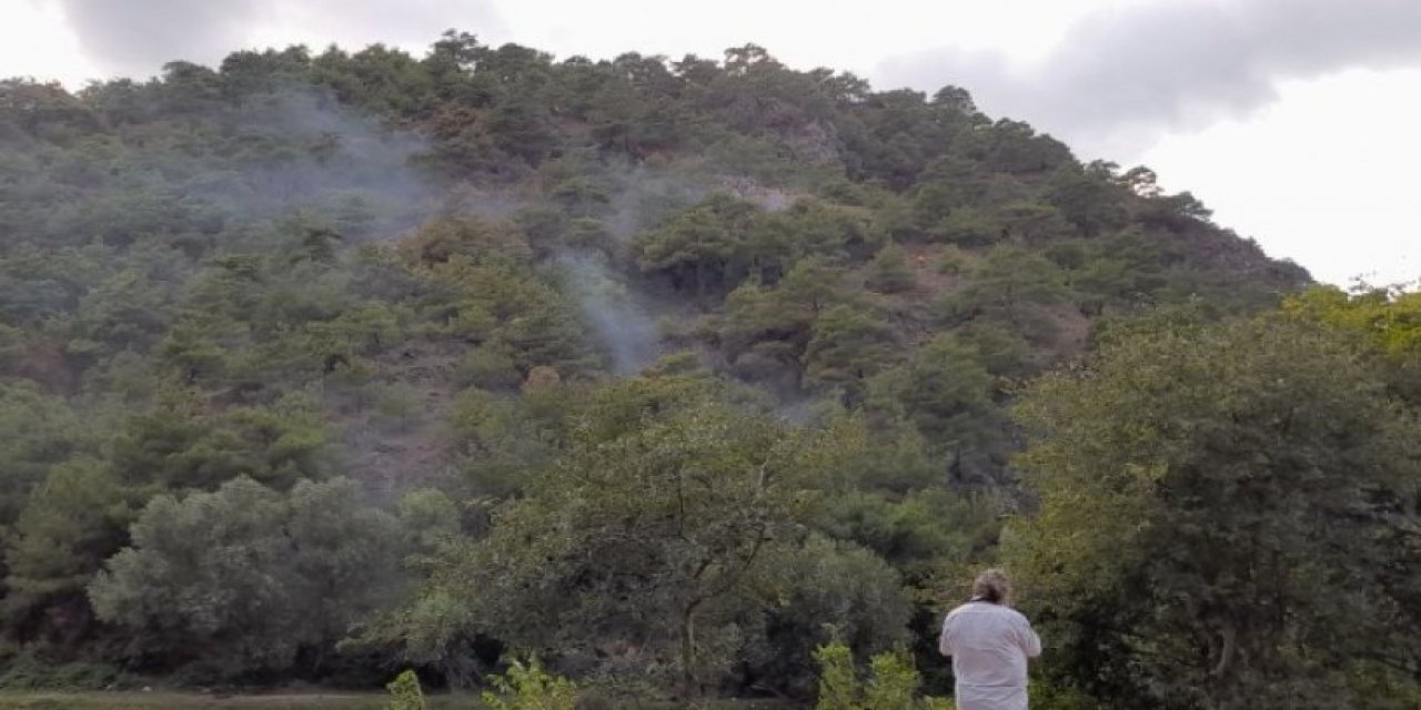 Tokat’ta ormanlık alanda yangın çıktı