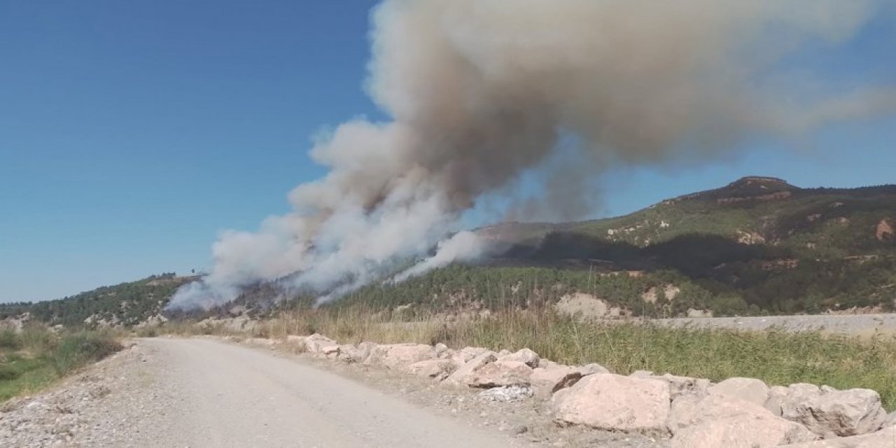 Muğla'da orman yangını