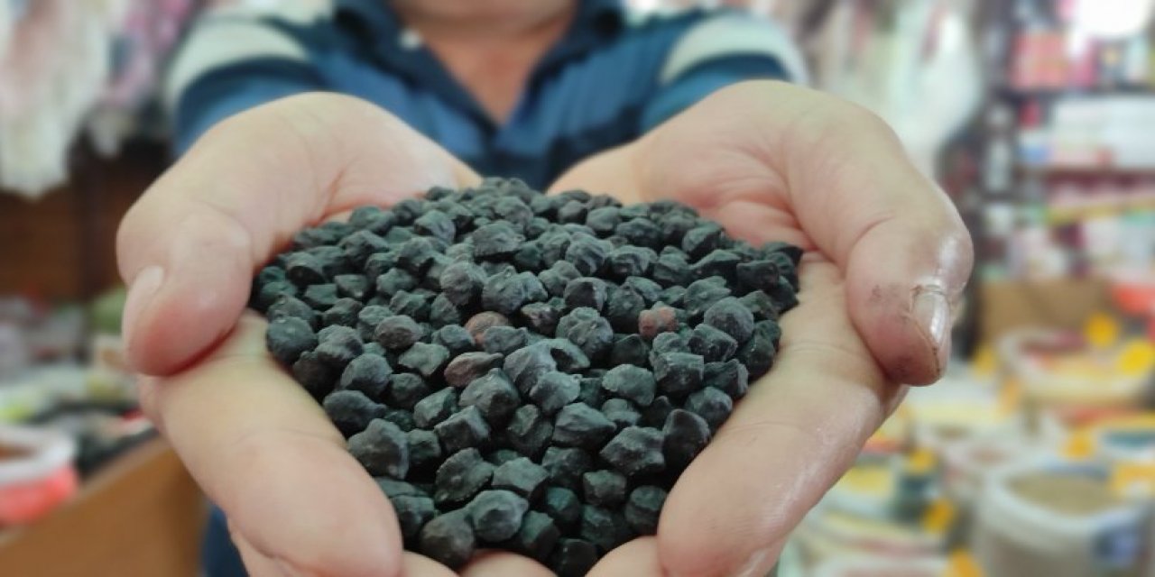 Tohumunu yurt dışından getirdiği siyah nohut büyük talep görüyor