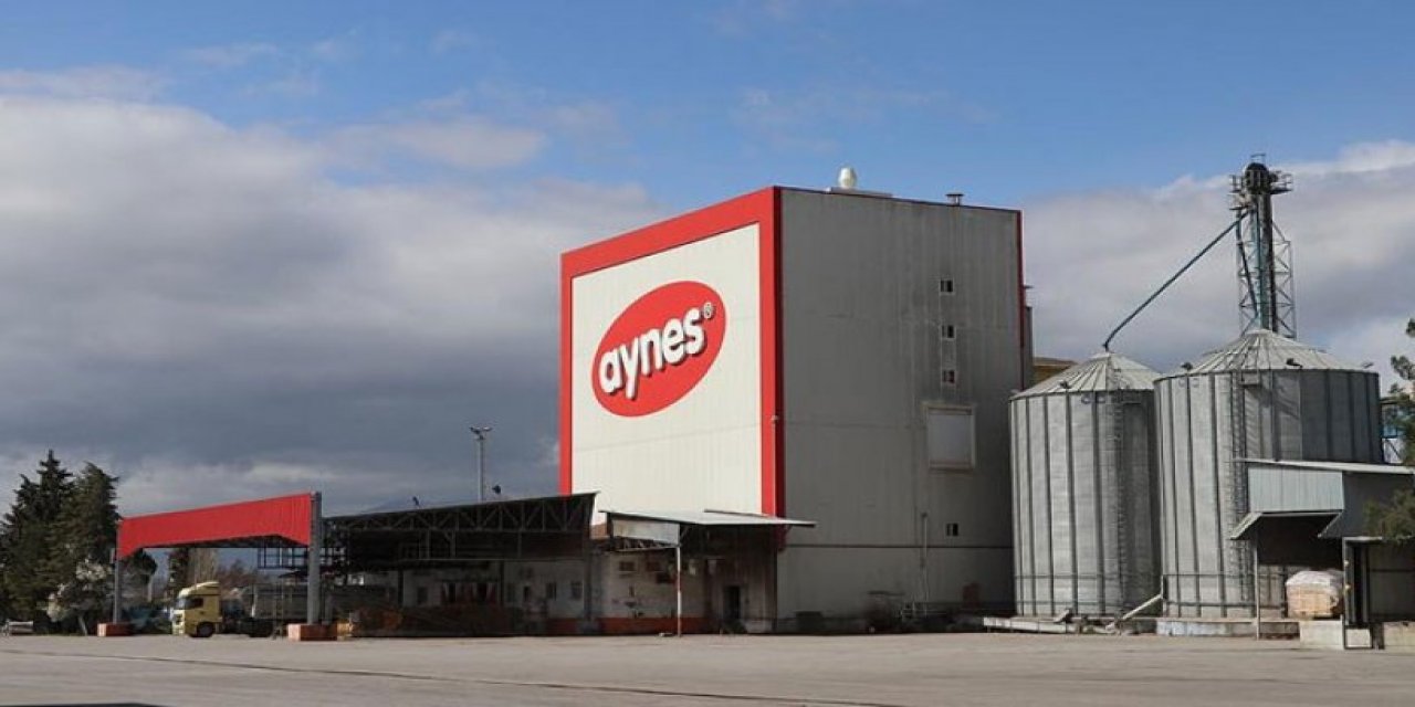 TMSF açık arttırmaya çıkarmıştı: Aynes Gıda el değiştirdi!