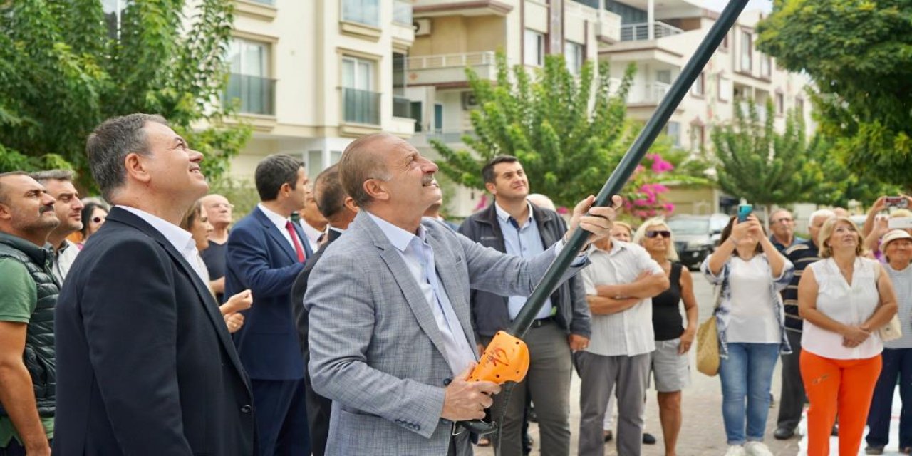 DİDİM'DE ATA AĞAÇLARINDA ZEYTİN HASADI GERÇEKLEŞTİRİLDİ