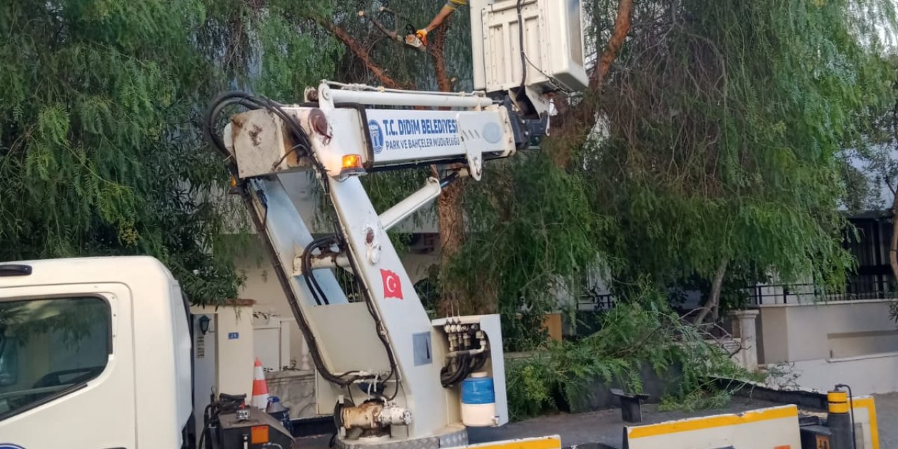 DİDİM BELEDİYESİ ÇALIŞMALARINI SÜRDÜRÜYOR