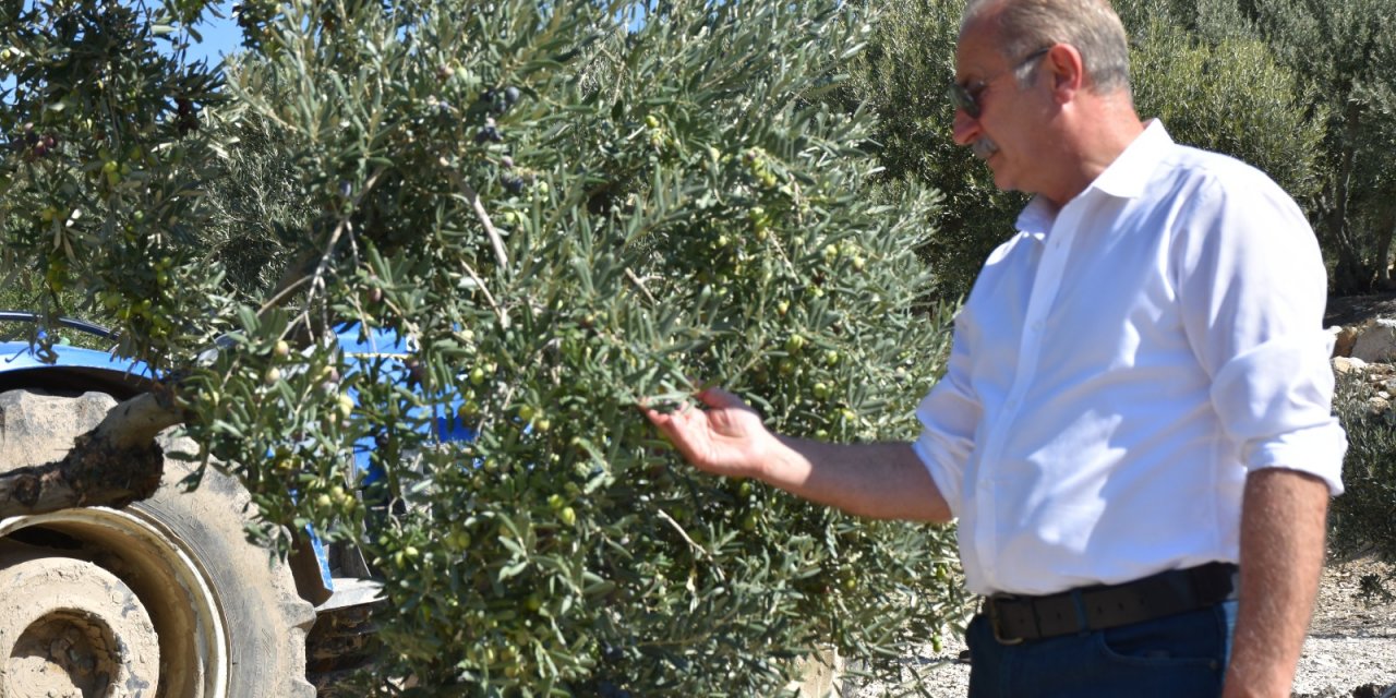 DİDİM BELEDİYESİ TÜRKİYE'DE BİR İLKE İMZA ATTI