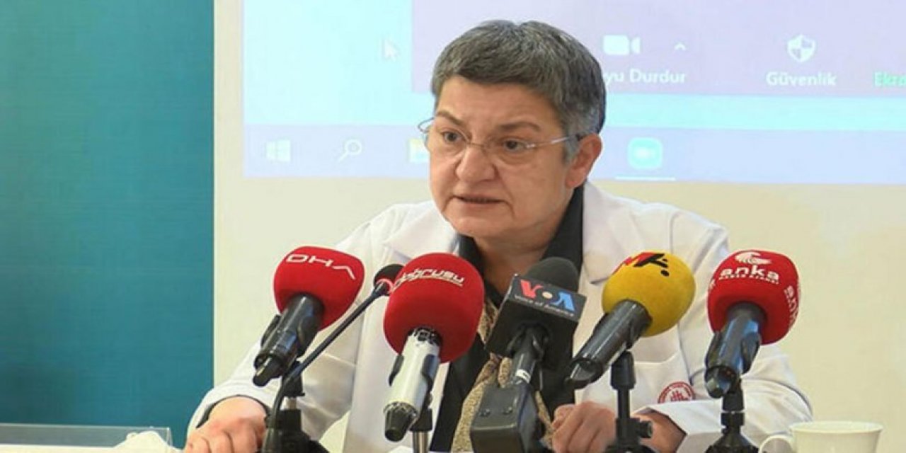 Türk Tabipleri Birliği Başkanı Şebnem Korur Fincancı tutuklama talebiyle mahkemeye sevk edildi