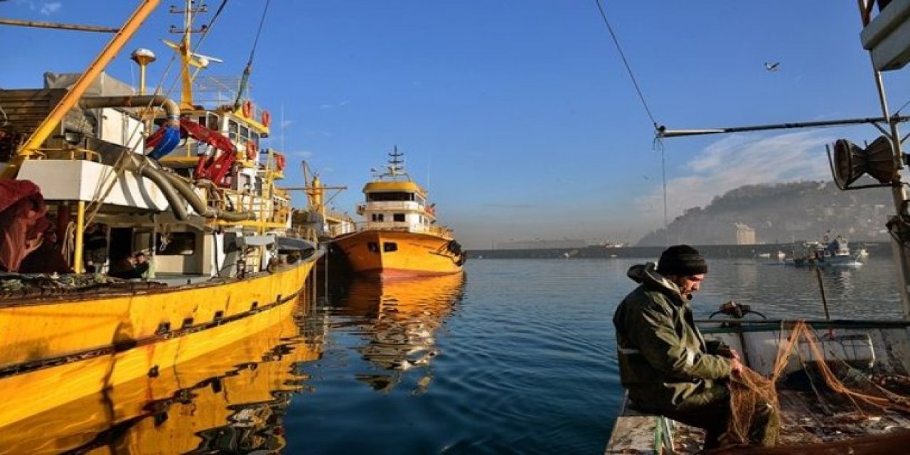 Bakanlıktan tepki çeken karar: İstanbul Boğazı endüstriyel balık avcılığı için kapatılacak
