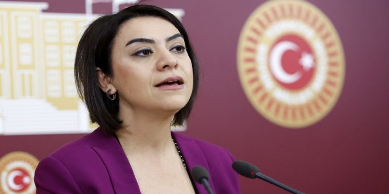 CHP'li Taşcıer, konuşma tutanaklarını paylaştı: 'AKP'li milletvekilleri de haklı, yetişemiyorlar'