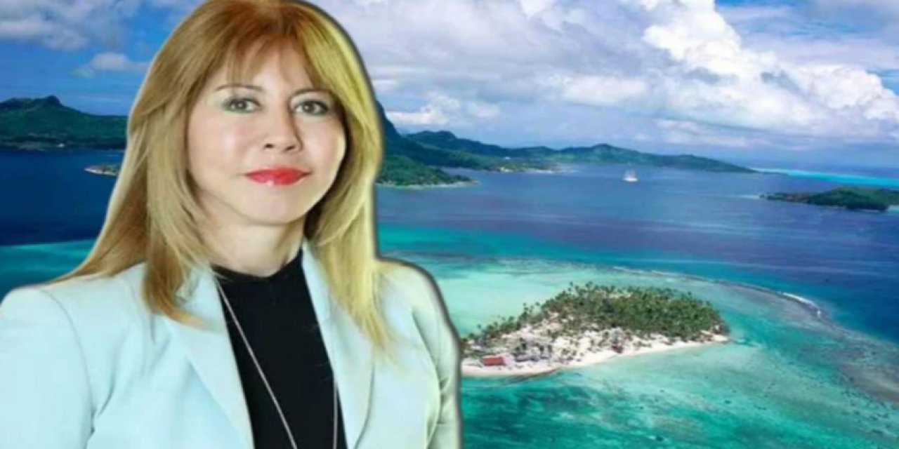 Dilek Ertek'in ölümüne ilişkin gemideki Türk çalışandan dikkat çeken açıklamalar