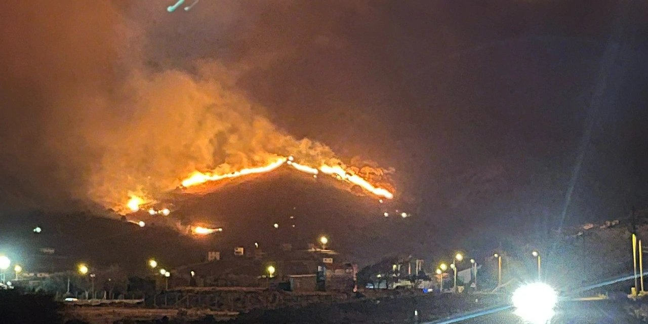 Gökçeada'da yangın