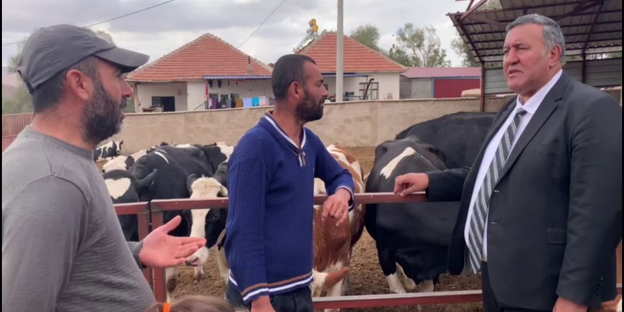 Gürer: “Hayvan tedavi masraflarında artış risk yaratıyor”