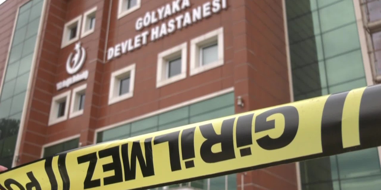 Soylu: Gölyaka'da 8 bin konutta hasar tespiti yapılacak