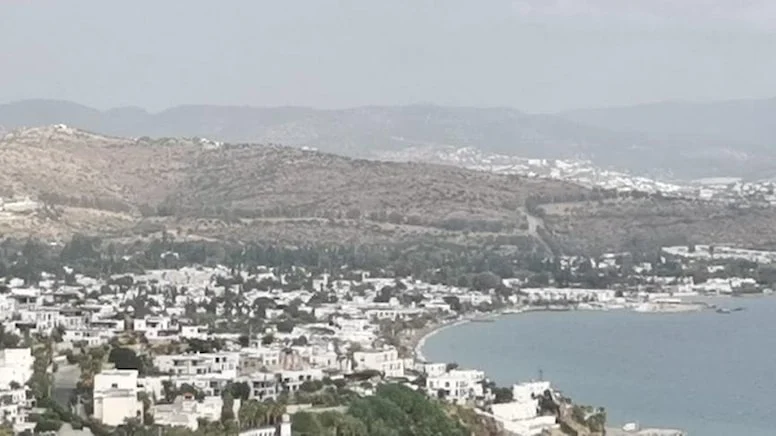 Abladan kardeşe 180 dönümlük ihale