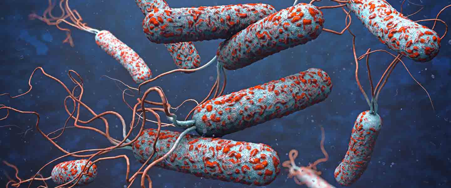 Kuveyt'te ilk kolera vakası görüldü