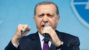 Erdoğan'dan Konya Hayvan Barınağı'ndaki vahşete ilişkin açıklama