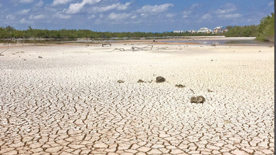 Göller Yöresi'ndeki 6 gölün alanı son 36 yılda yüzde 50'den fazla azaldı