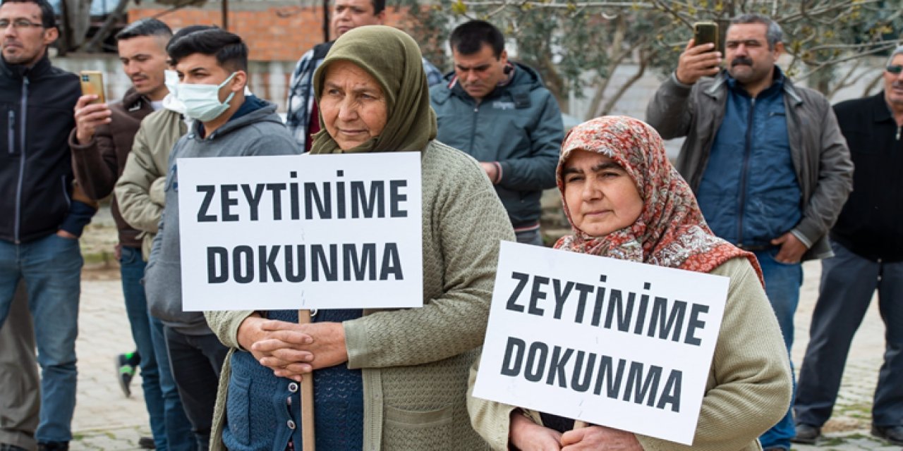 AKP’den 10’uncu kez ‘zeytinlik’ düzenlemesi: 'Yandaşın ihtiyacını karşılamak, köylünün elindeki zeytinlikleri almak istiyorlar'