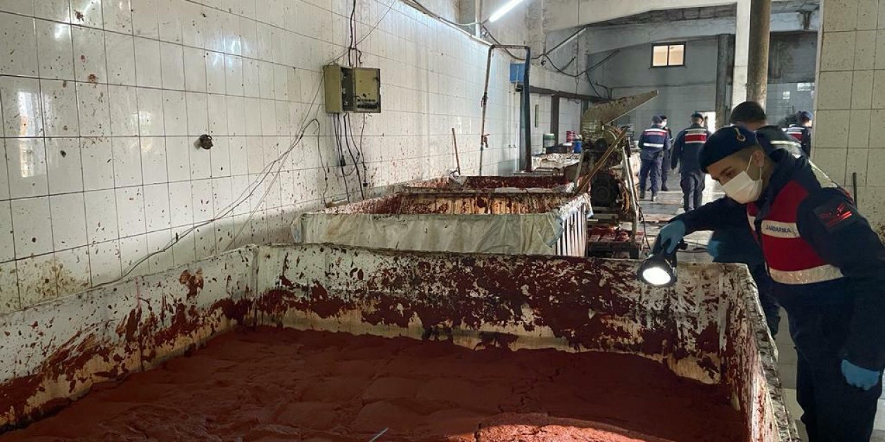 Kaçak salça operasyonu: Mali değeri 1 milyon 600 bin TL