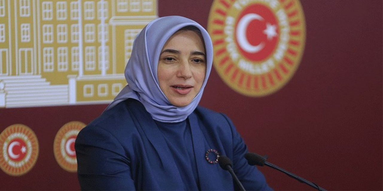 AKP'li Özlem Zengin: Bir tur daha yapacağız, HDP'ye gideceğiz