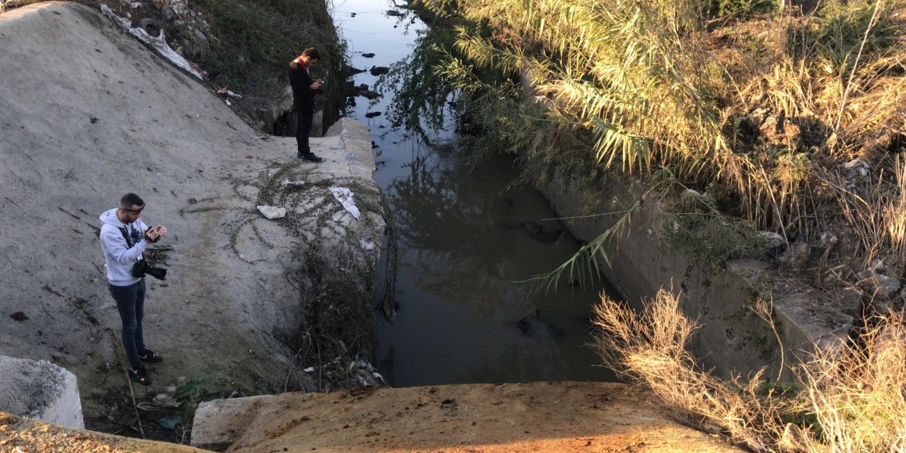 Görenler neye uğradığını şaşırdı: Çok sayıda eşek başı ve kemikleri bulundu