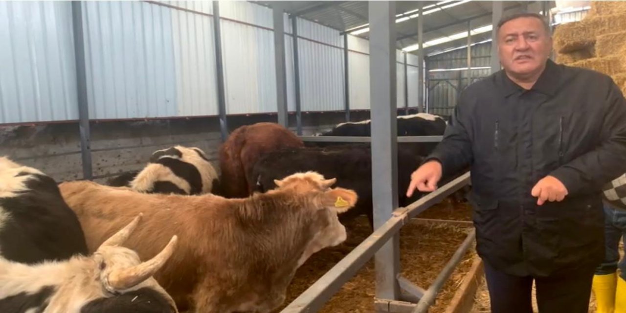 Gürer: “Sütte yaşanan sorunlar  yakında ette de yaşanacak”