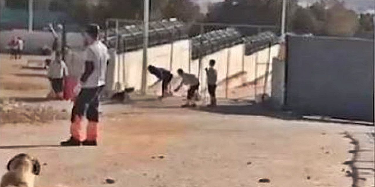 Köpeğin kürekle öldürülmesinde sanıklar hakim karşısında