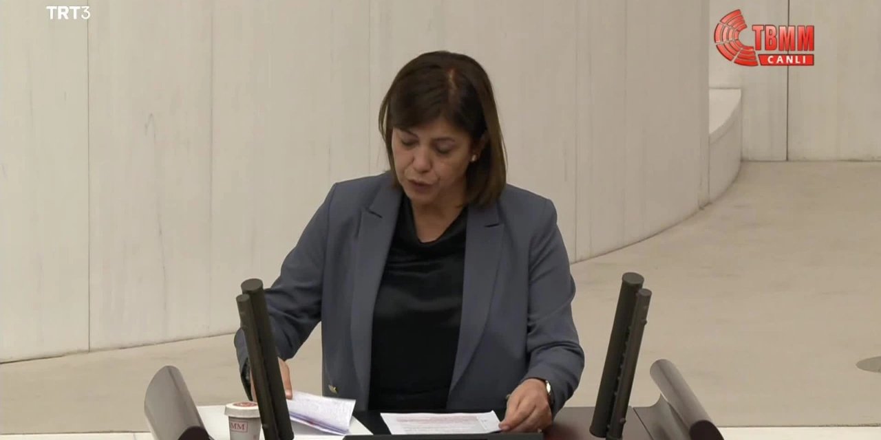 HDP'li Beştaş: 'Hangi iktidar çocukları korumuyorsa Allah belasını versin'