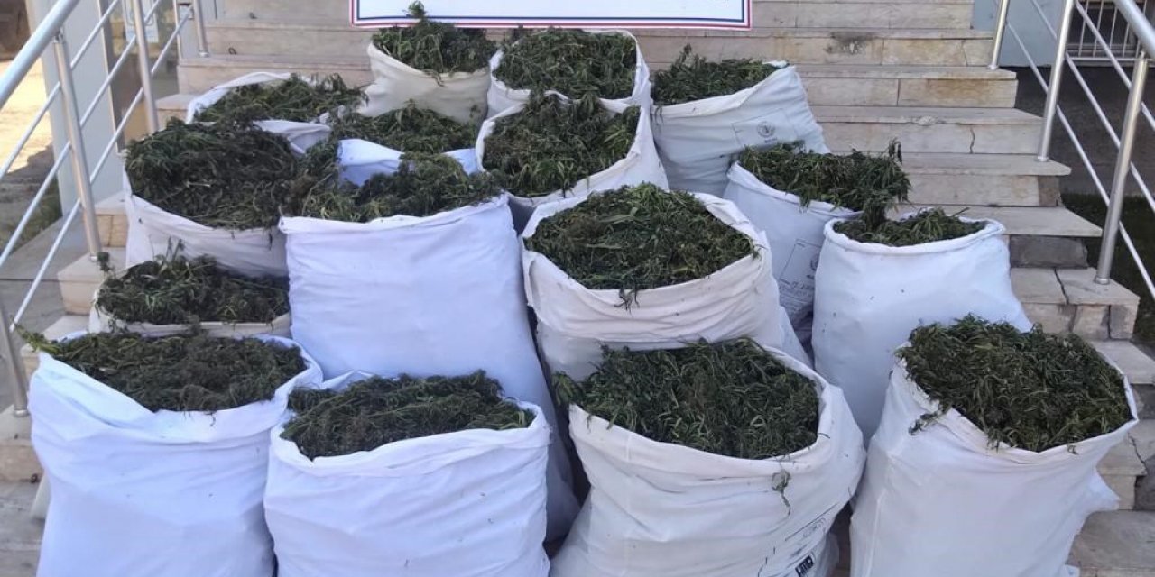 Bingöl'de, 251 kilo esrar ele geçirildi