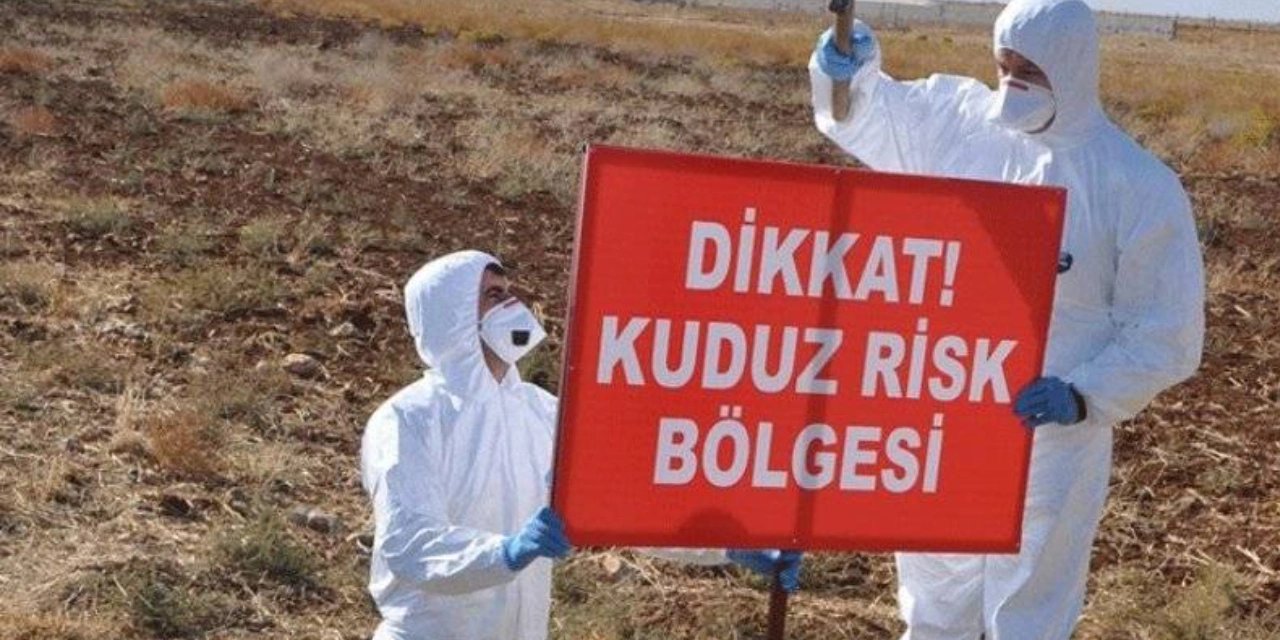 Tunceli'de bir ilçede kuduz karantinası