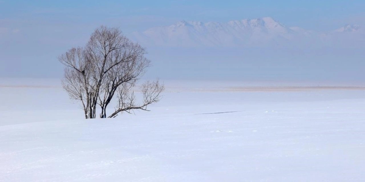 Çin'in kuzeyi sıfırın altında 53 dereceyi gördü