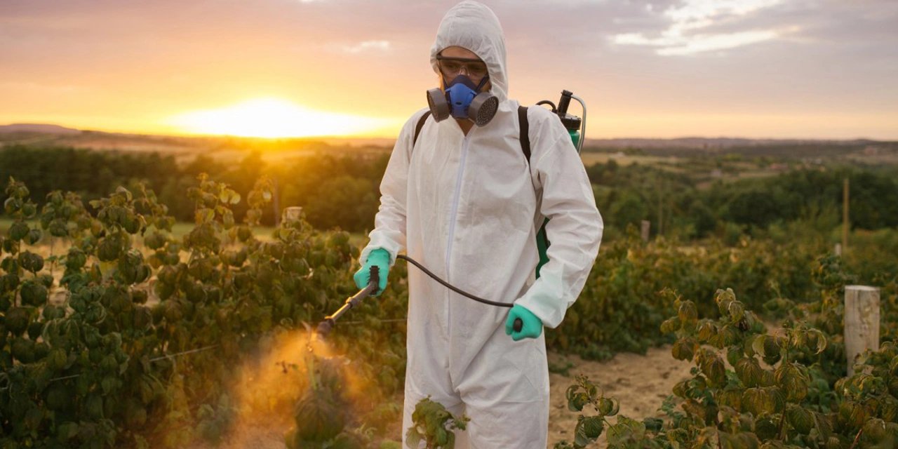 Pestisit için eylem planı çağrısı