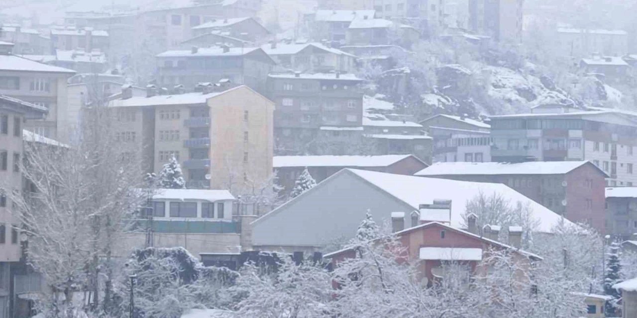 Hakkari’de 176 yerleşim yeri ulaşıma kapandı
