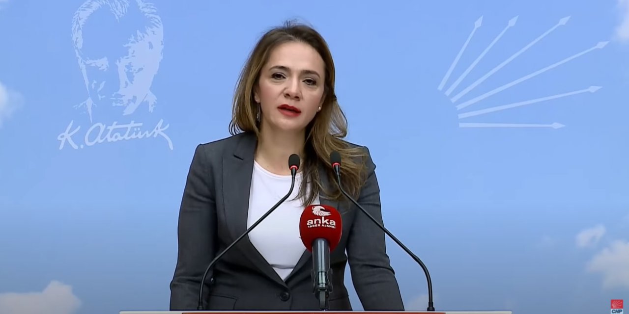 Gamze Akkuş İlgezdi: "Hastaneler adeta hekimsiz çalıştırılıyormuş"