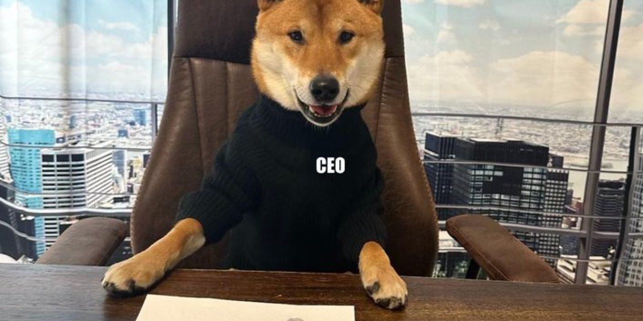 Elon Musk, köpeği Floki'yi CEO yaptı, köpek temalı alt coin'ler yükselişe geçti