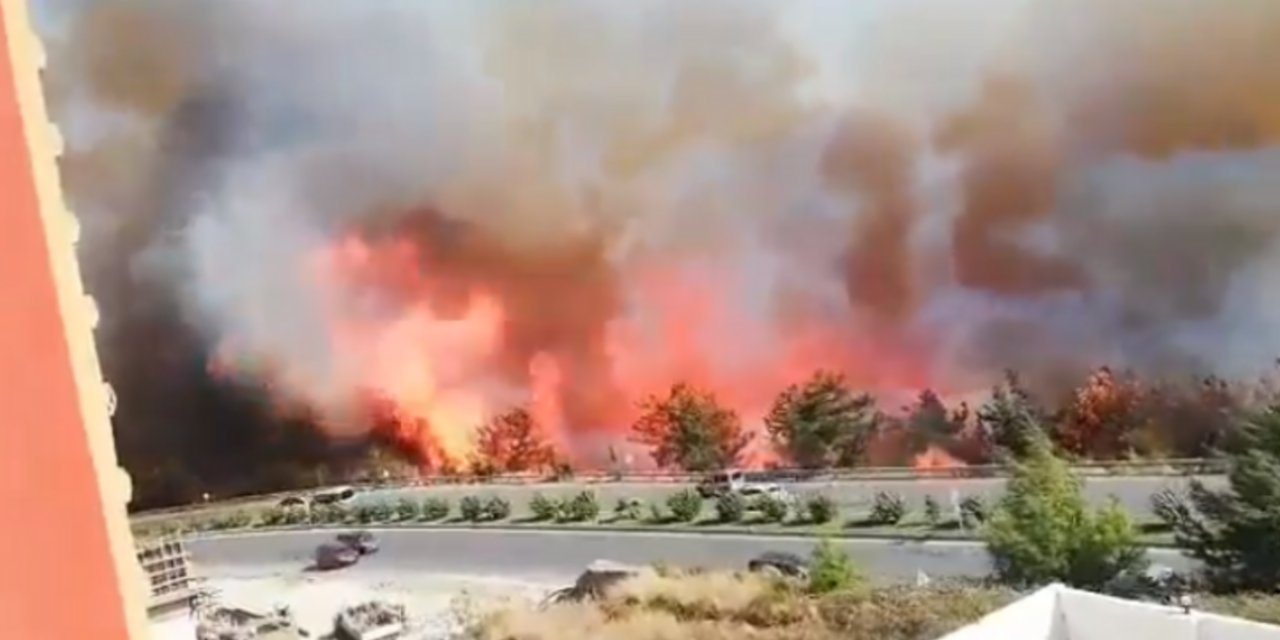 Hatay İskenderun'da yine orman yangını!
