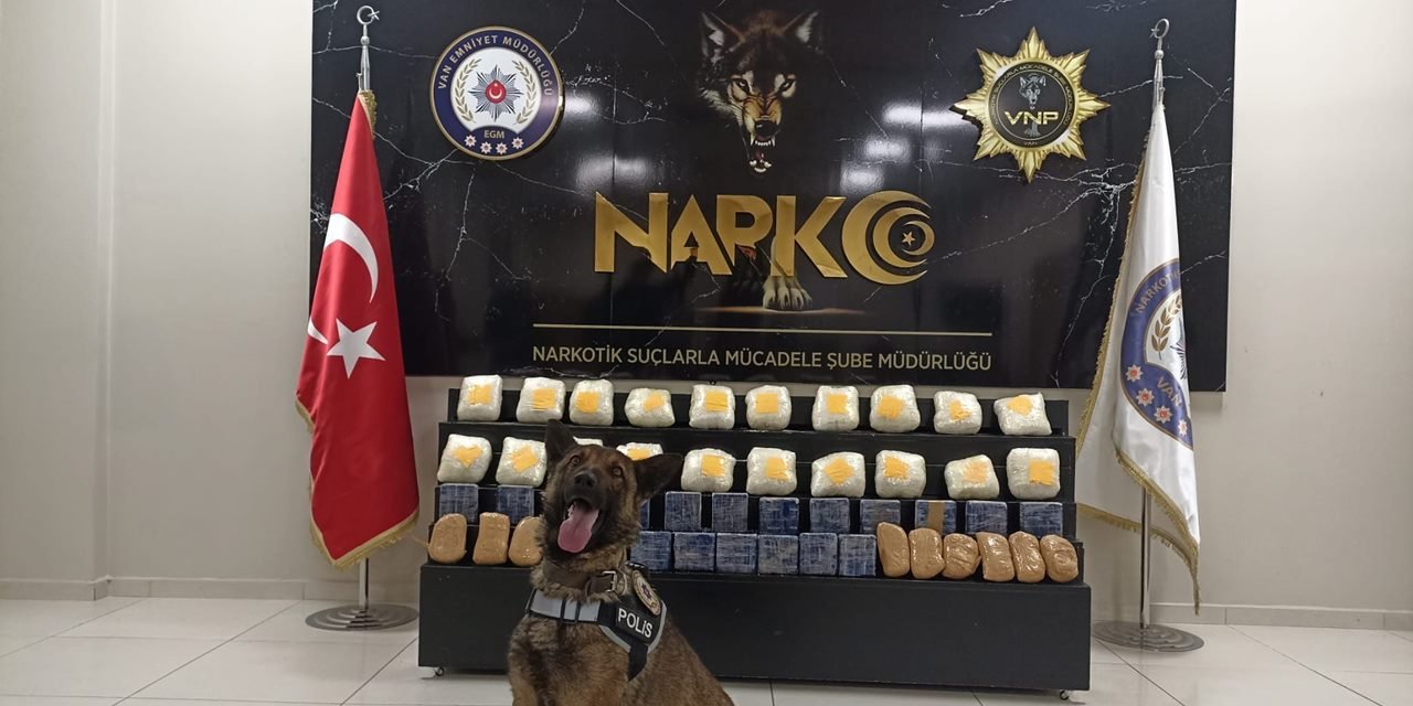 Polis köpeği 'Juno', 37,6 kilogramlık uyuşturucu yakaladı